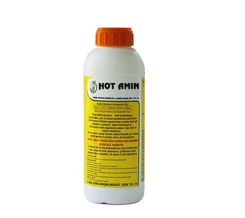 HOT AMIN