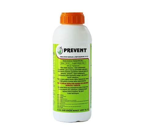 PREVENT