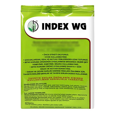 INDEX WG