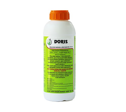 DORIS